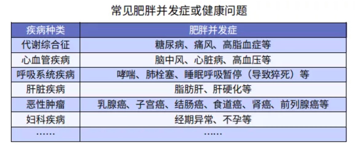太胖被拒保怎么辦？
