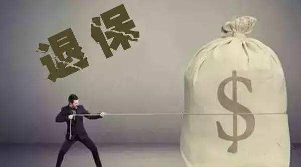買的保險不想續(xù)保了能退嗎？
