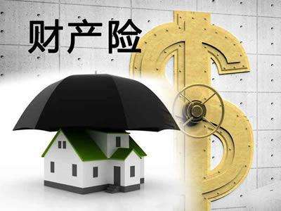 如何選擇財(cái)產(chǎn)保險(xiǎn)來降低財(cái)產(chǎn)損失？