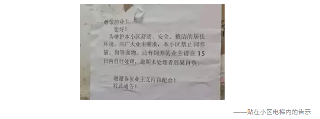 為什么不買保險就不讓養(yǎng)狗？