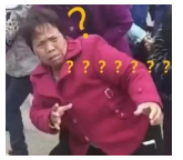 為什么不買保險就不讓養(yǎng)狗？
