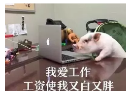 發(fā)生車(chē)禍如何快速理賠？