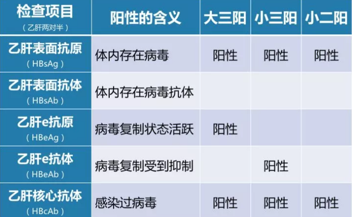 乙肝病毒攜帶者應(yīng)該如何正確投保？