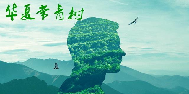 華夏常青樹(shù)多倍版和華夏福哪個(gè)好 包含自然身故嗎？