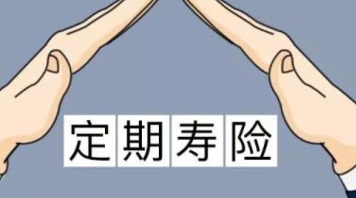 定期壽險和終身壽險的區(qū)別！弄清楚了才能更好地作出選擇！